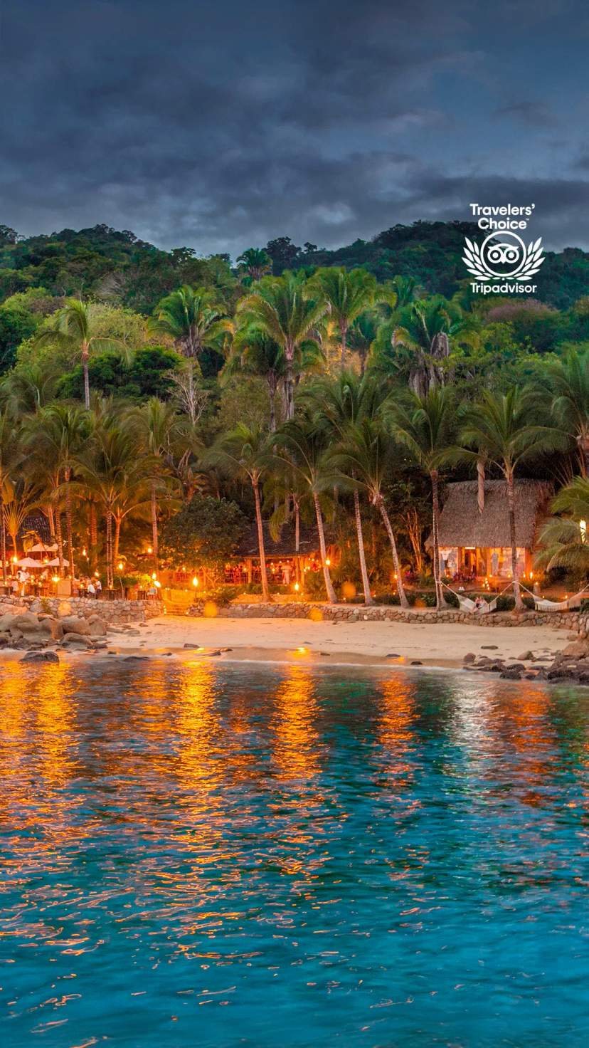 Enjoy spectacular shows and stunning sunsets in Puerto Vallarta, with vibrant beachside evenings.