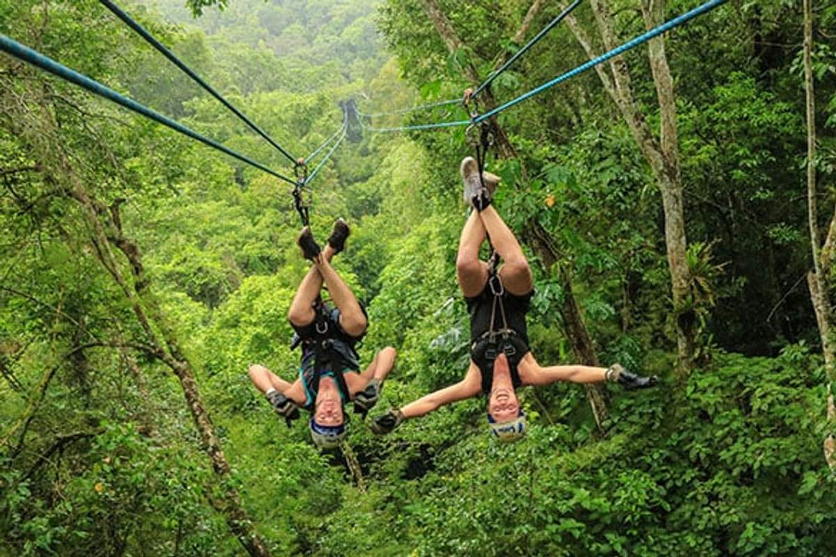 Two people ziplining upside down through a lush, green forest, showcasing an adventurous and thrilling experience.