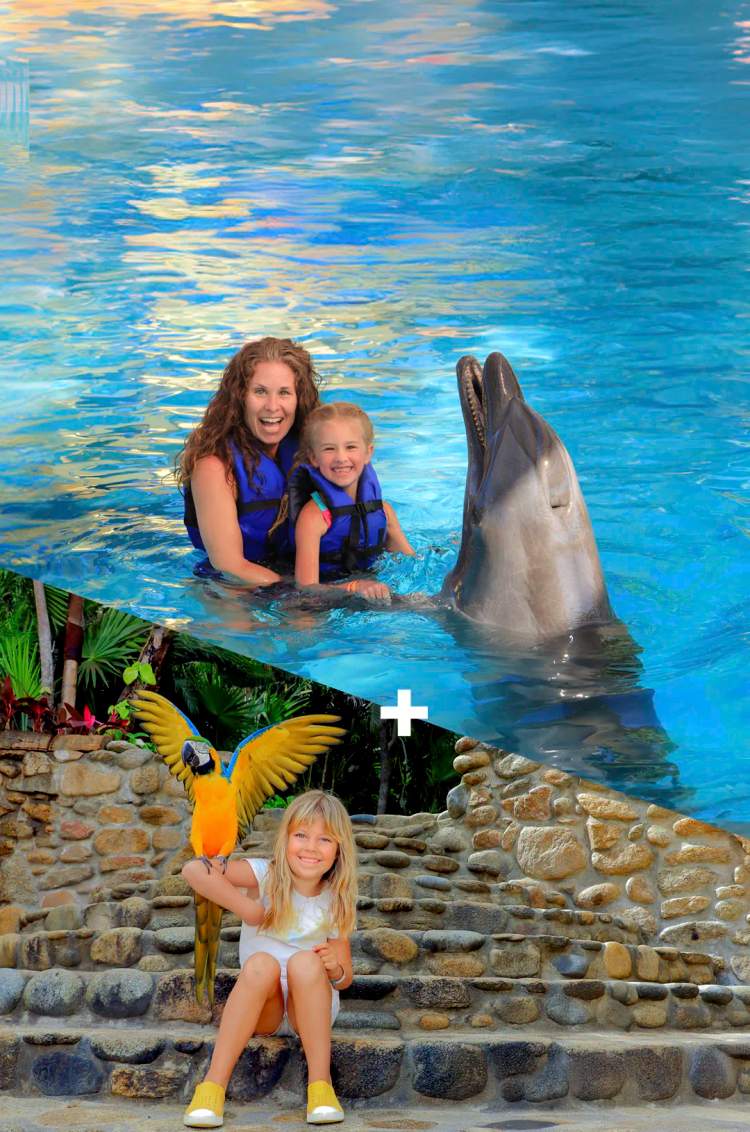 A value package that combines a day at Las Caletas beach and a swim with dolphins, a great Puerto Vallarta family activity.