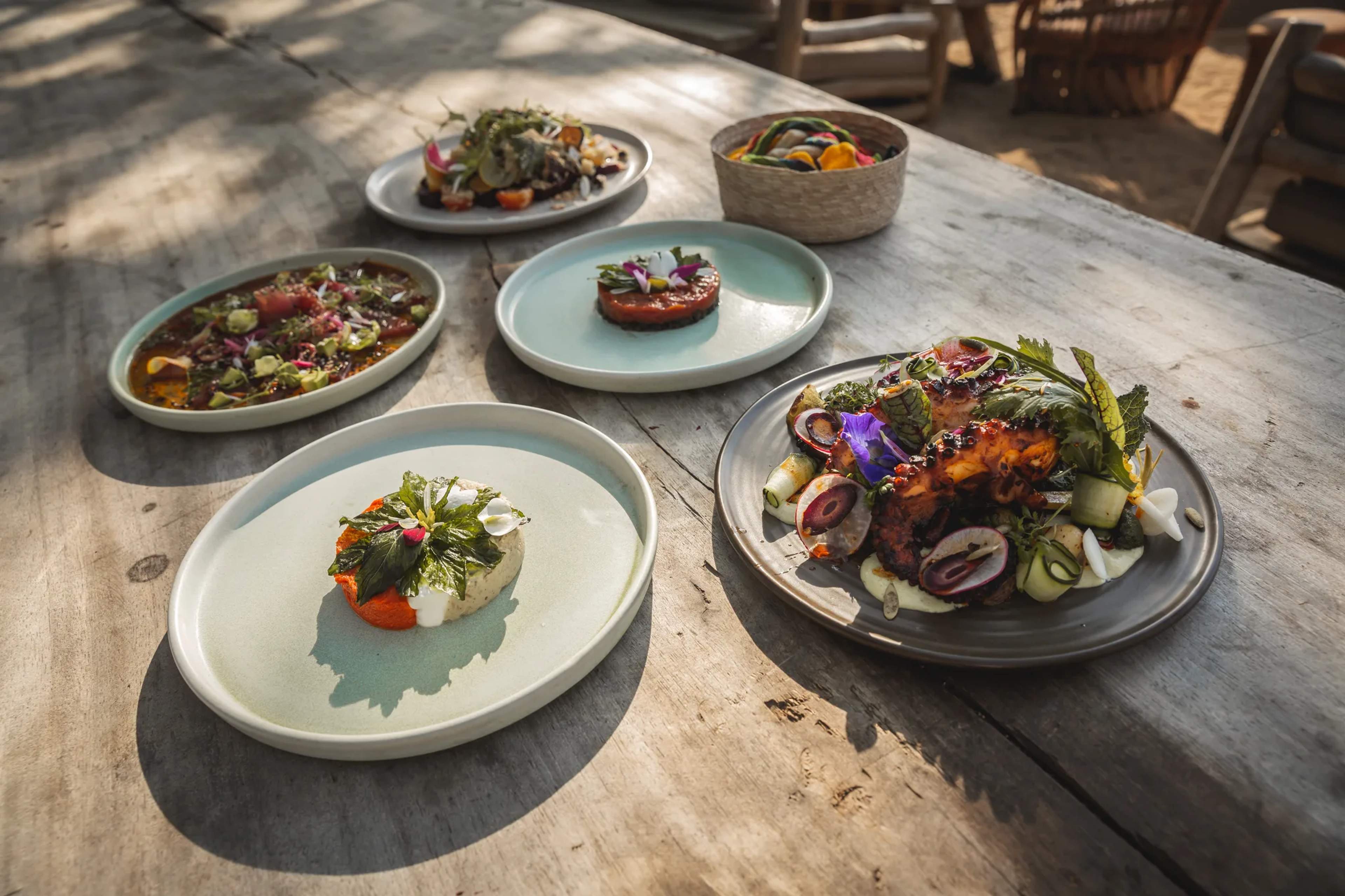 Platillos gourmet presentados sobre una mesa de madera rústica en un comedor al aire libre junto al mar