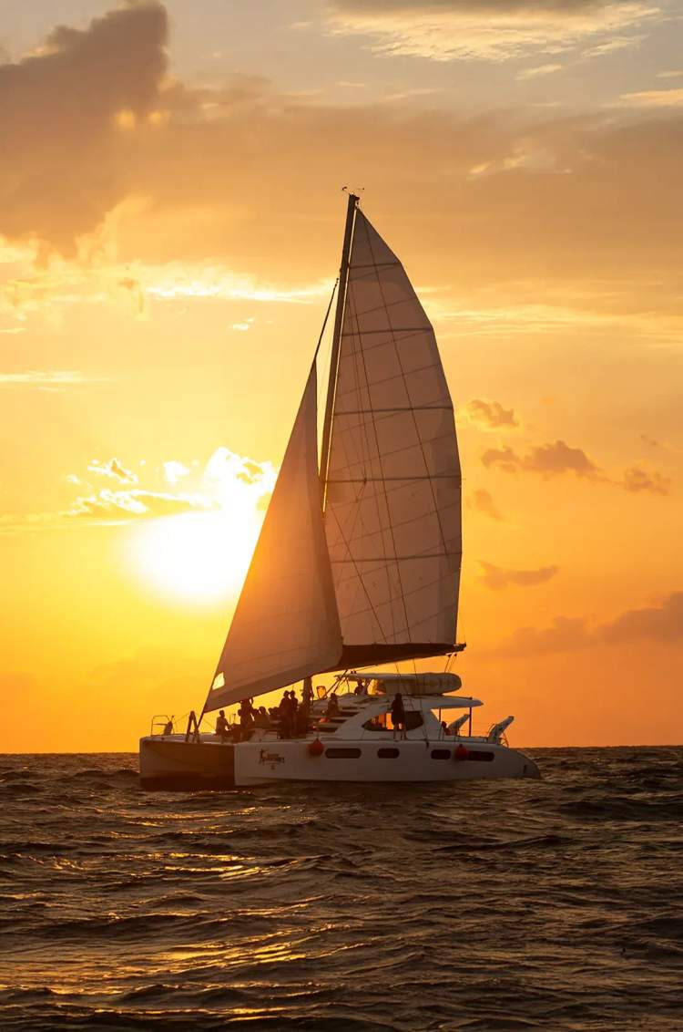 Crucero al Atardecer de Año Nuevo con Vallarta Adventures