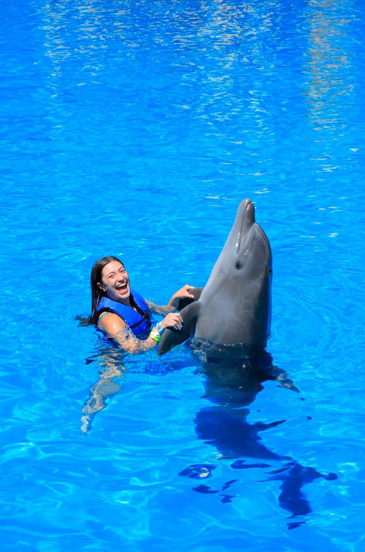 Puerto Vallarta tour package including a dolphin swim.