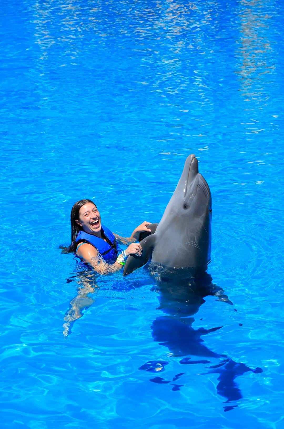 Puerto Vallarta tour package including a dolphin swim.