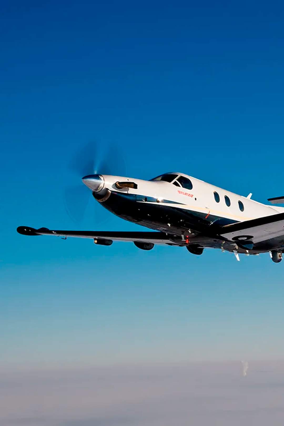 Puerto Vallarta private flights.
