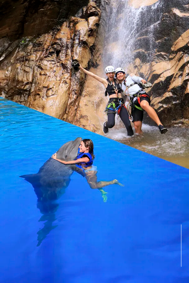 Tour package with Puerto Vallarta zip lines and a dolphin encounter