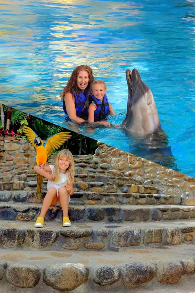 Paquete que combina un día en la playa Las Caletas y un nado con delfines, una fantástica actividad para familias.
