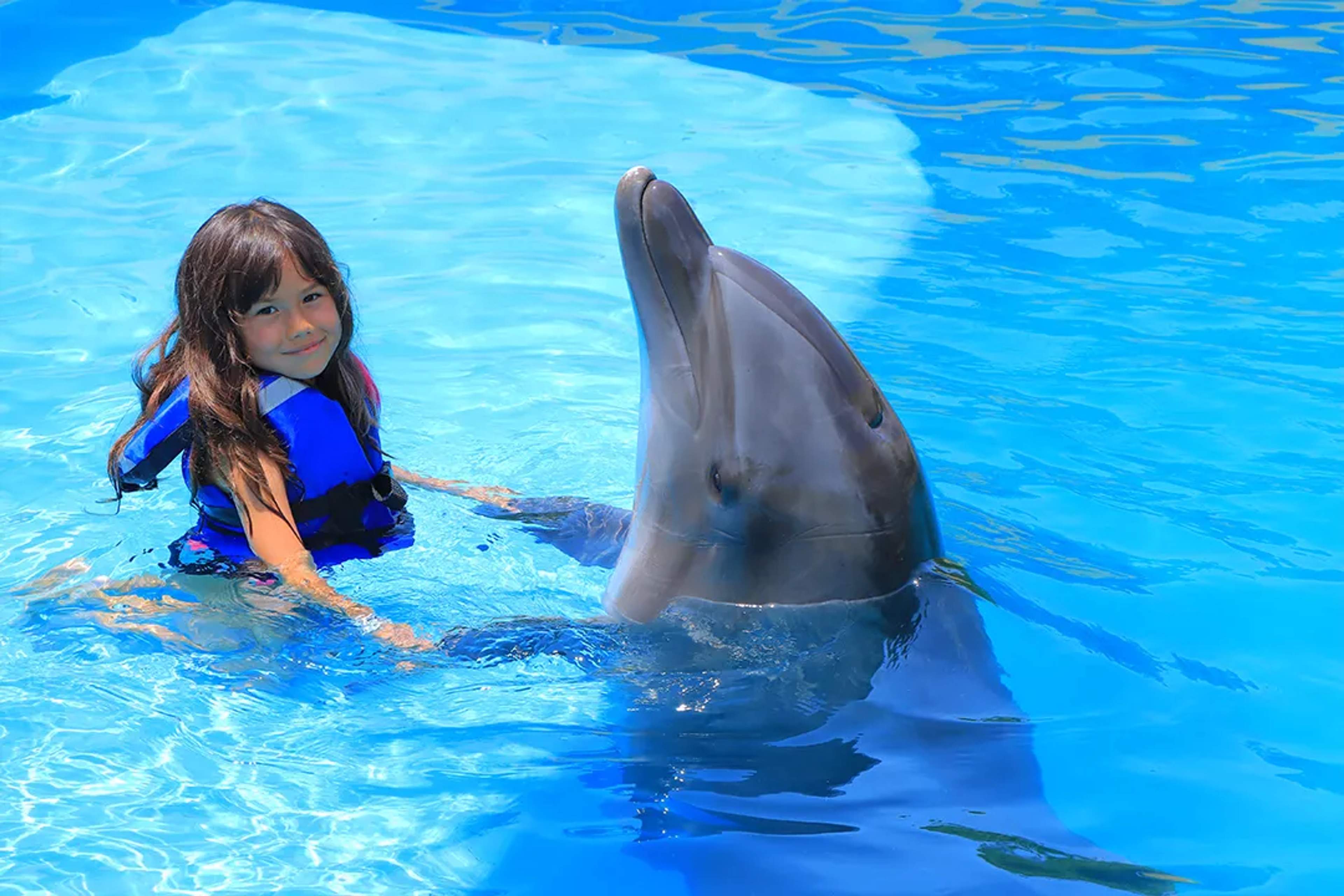Un niño con chaleco salvavidas agarrandose a un delfín en una piscina, disfrutando de un encuentro cercano en un centro de delfines.