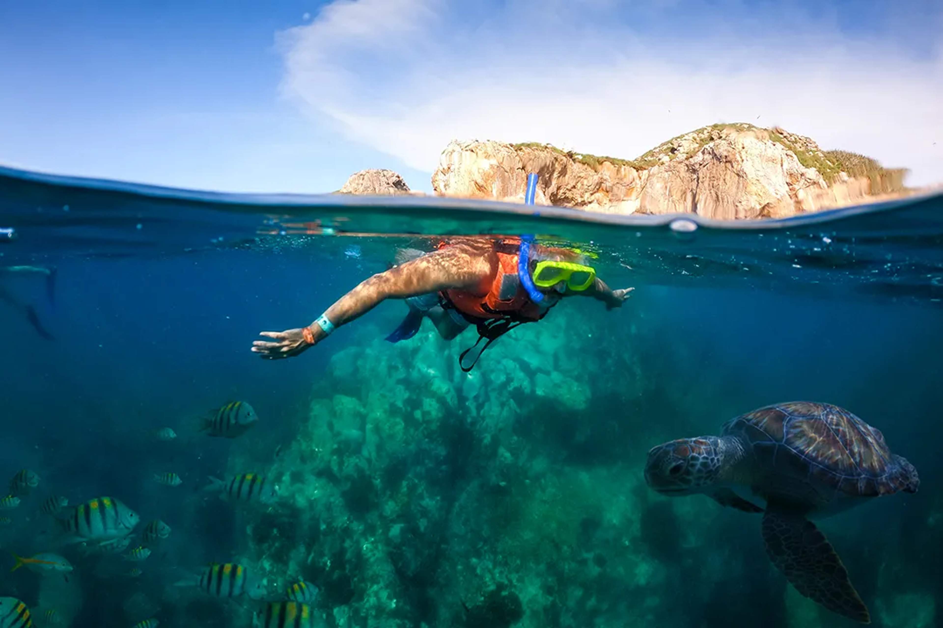 Snorkel con tortuga marina en aguas cristalinas de Los Arcos, Puerto Vallarta, tour Vallarta Adventures