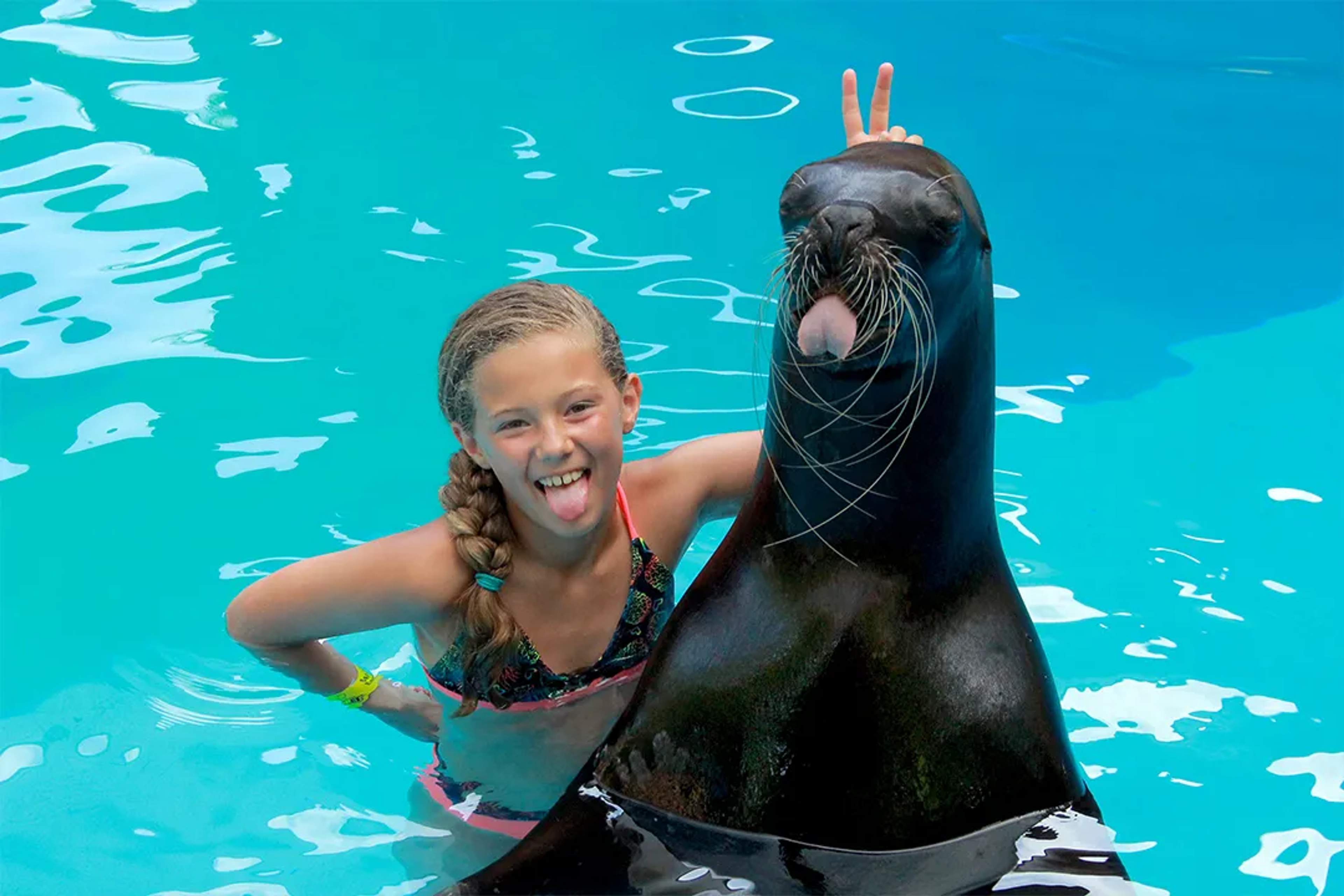 6 INTERESTING SEA LION FACTS FOR KIDS TO LEARN!