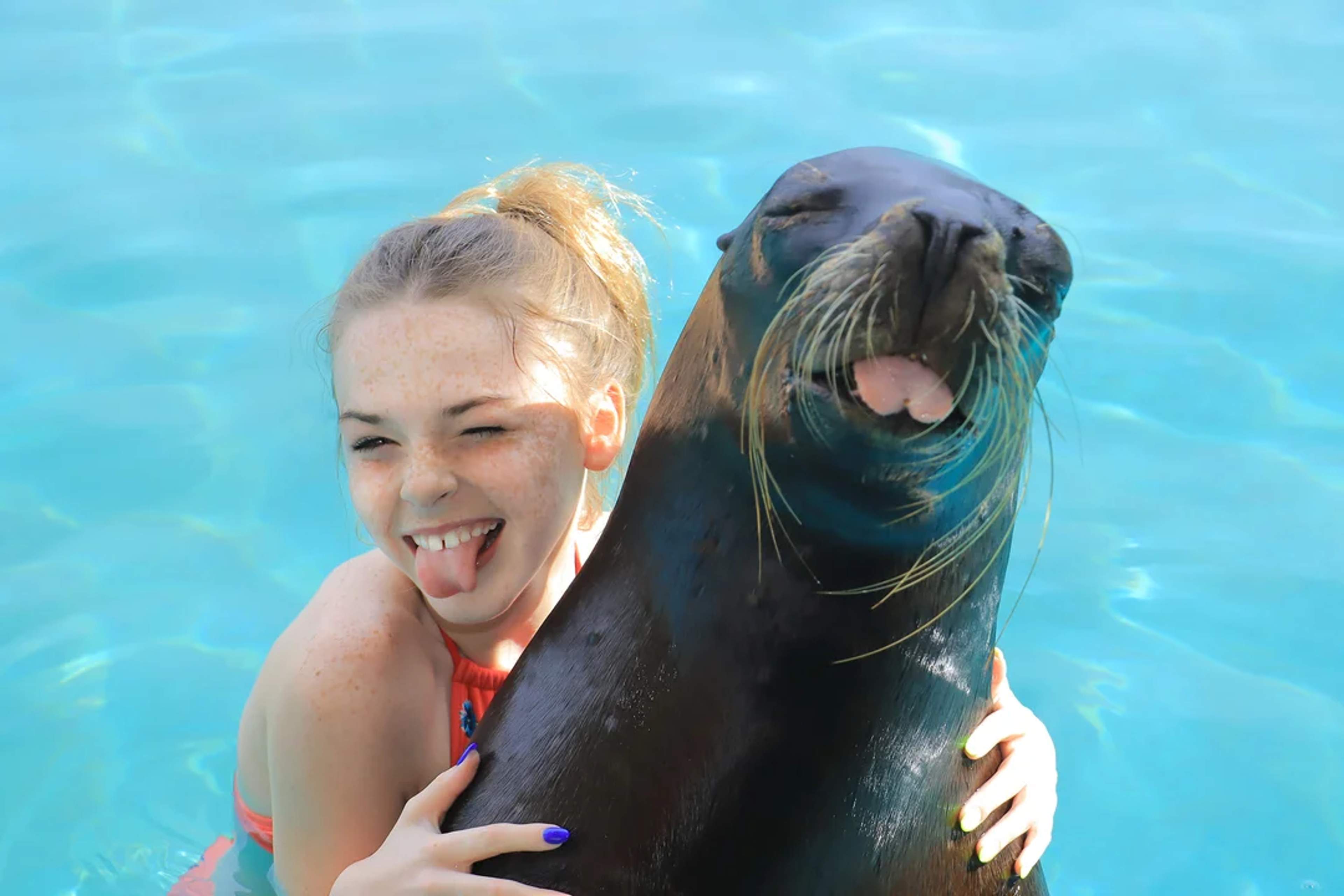 A girl and a sea lion pose playfully in the water, both sticking out their tongues and sharing a fun, joyful moment.