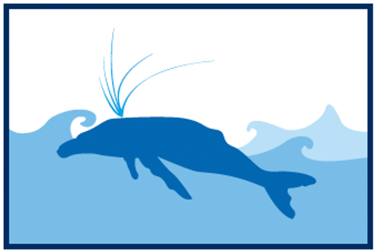 Ilustración de una ballena jorobada expulsando agua por sus espiráculos mientras nada en la superficie del océano.