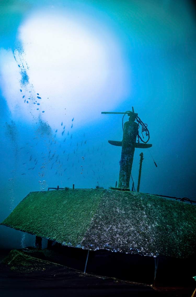 Private Puerto Vallarta Wreck Dive near Mismaloya and Los Arcos Puerto Vallarta.