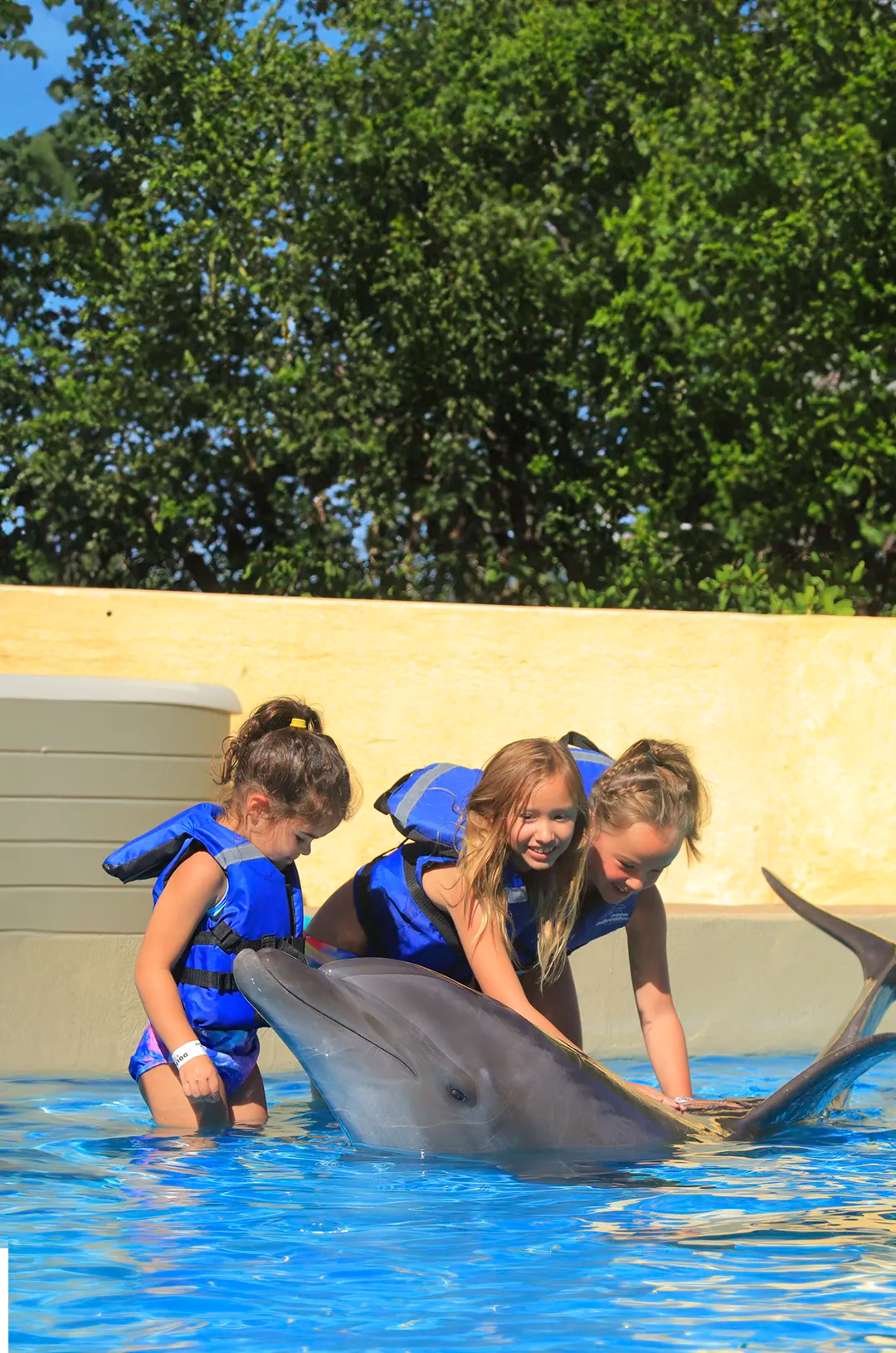Dolphin Kids, one of the best things to do with children in Puerto Vallarta.