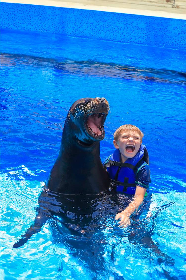 Adolescente jugando con un lobo marino en Puerto Vallarta.