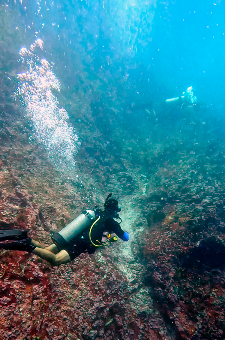 Buceo en paredes rocosas en Puerto Vallarta La Corbeteña.
