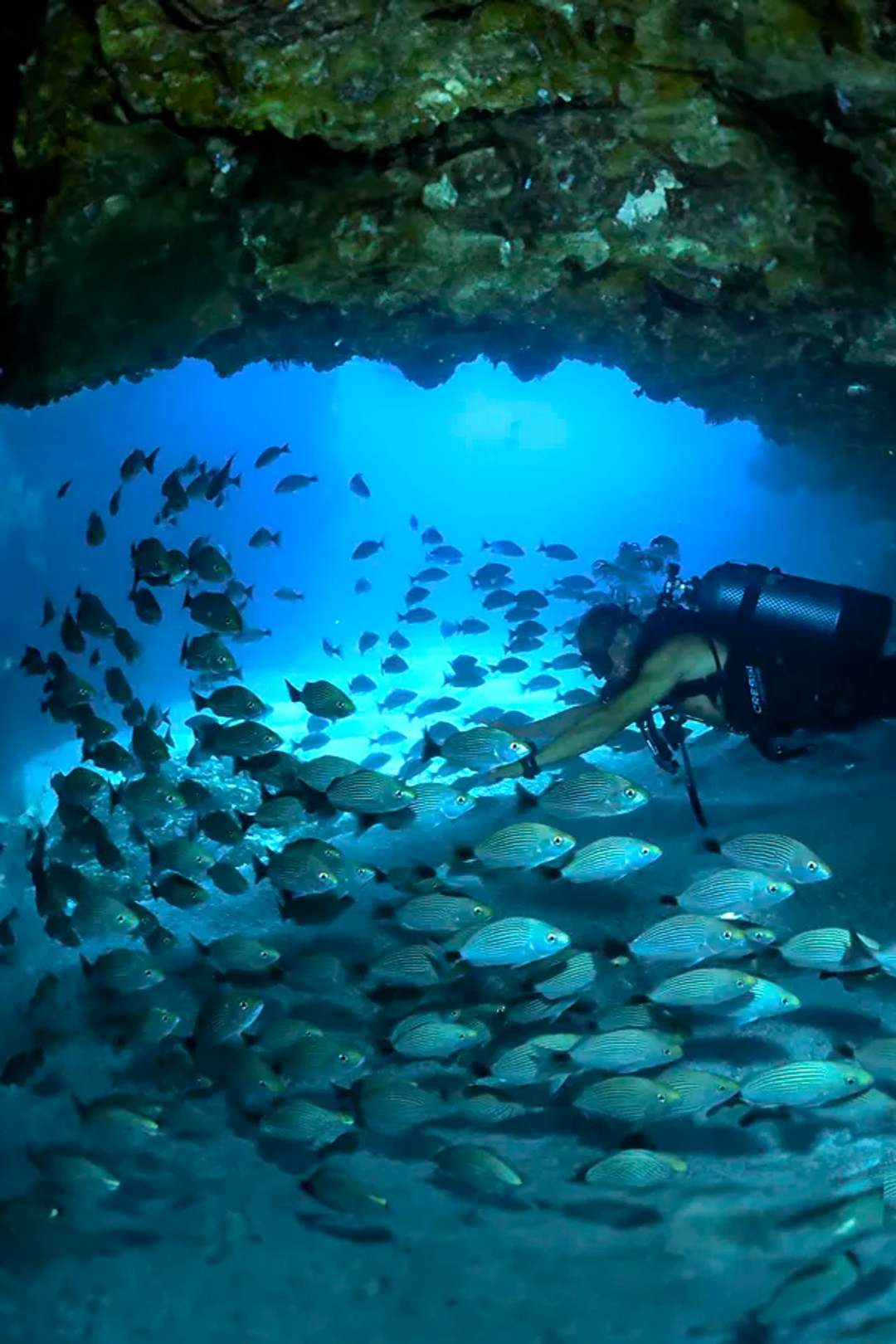 Diver on a private Punta Mita scuba diving excursion with a PADI Five Star Dive Center.