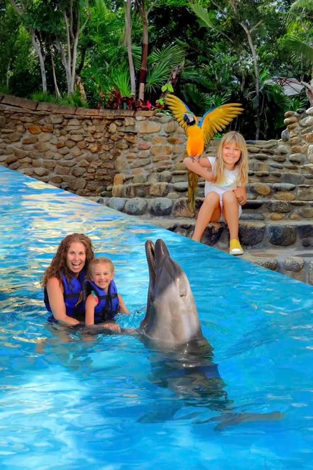 A tour package that combines a day at Las Caletas beach and a swim with dolphins, a great Puerto Vallarta family activity.
