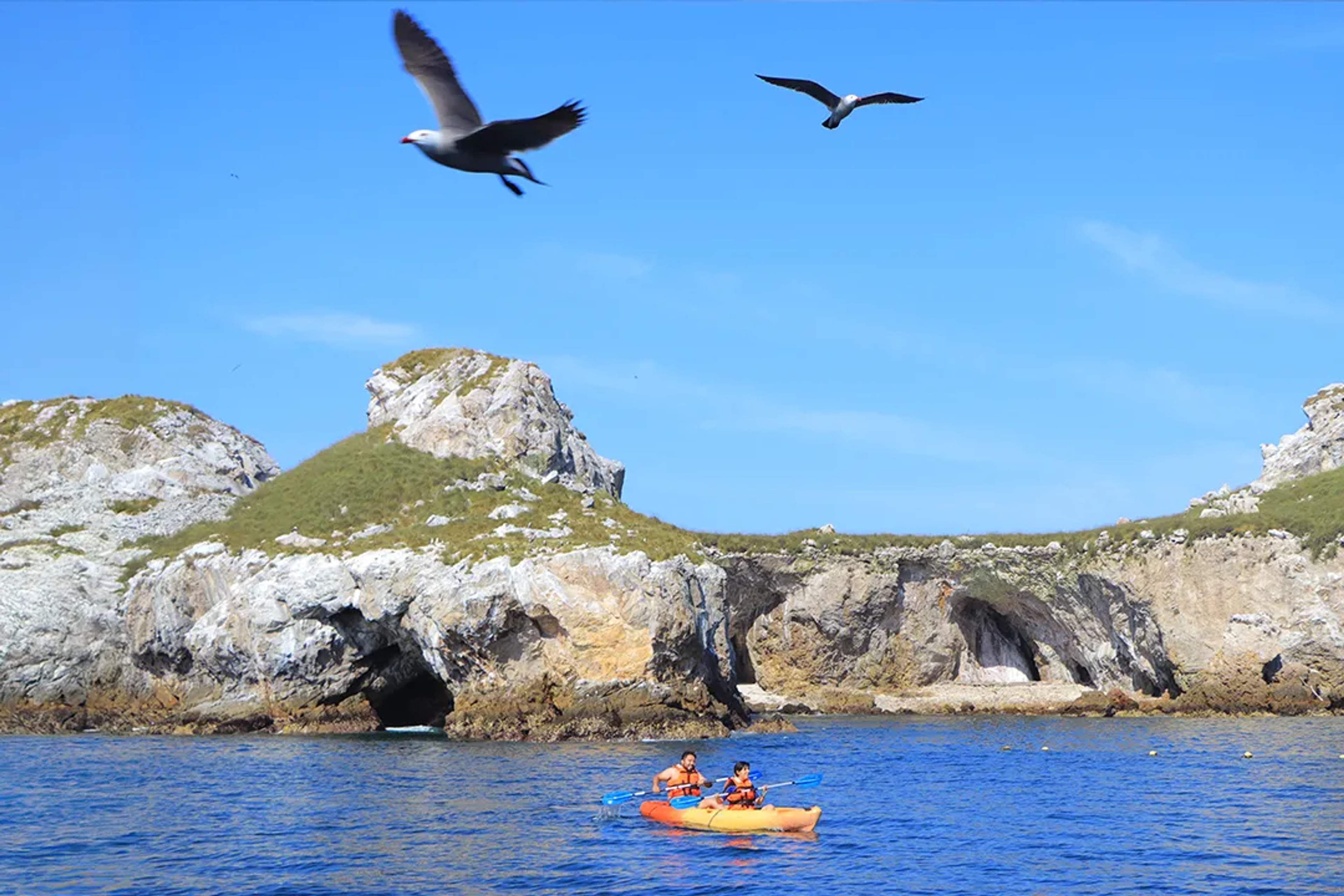 Dos personas en kayak cerca de islas rocosas con aves marinas volando en un día soleado en las Marietas