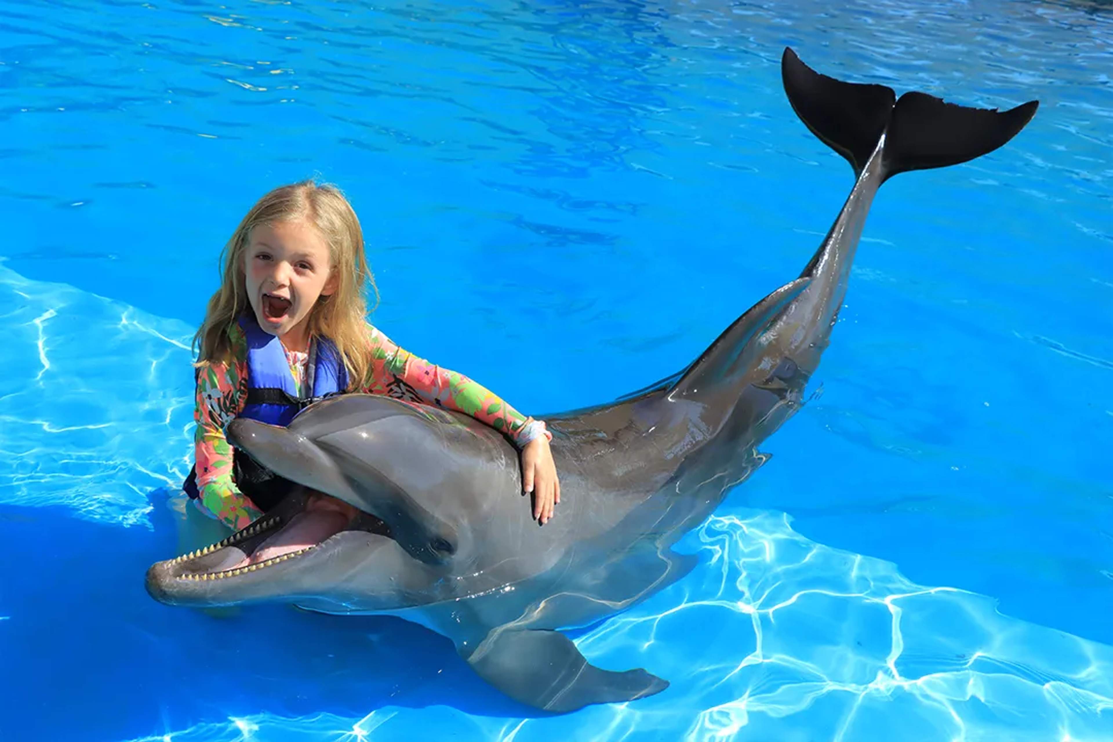 Child enjoying a dolphin encounter in Puerto Vallarta with a friendly bottlenose dolphin in crystal-clear water