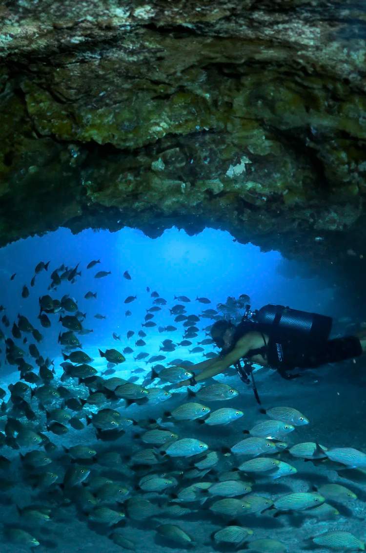 Buceo en cavernas en Puerto Vallarta Los Anegados, exclusivo para Buzos Certificados.