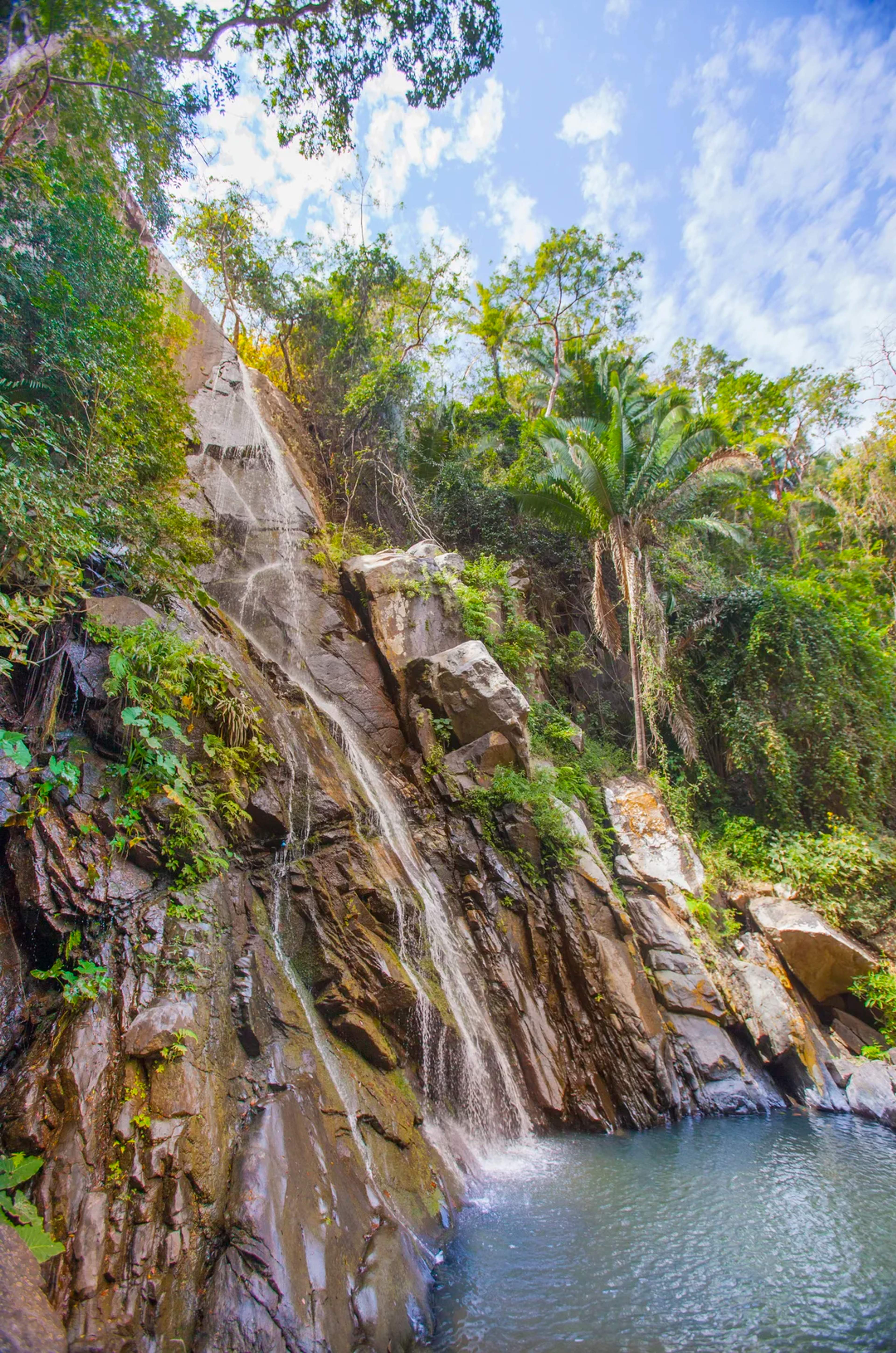 Scenic jungle waterfall flows down rocky cliffs into a serene natural pool surrounded by trees.