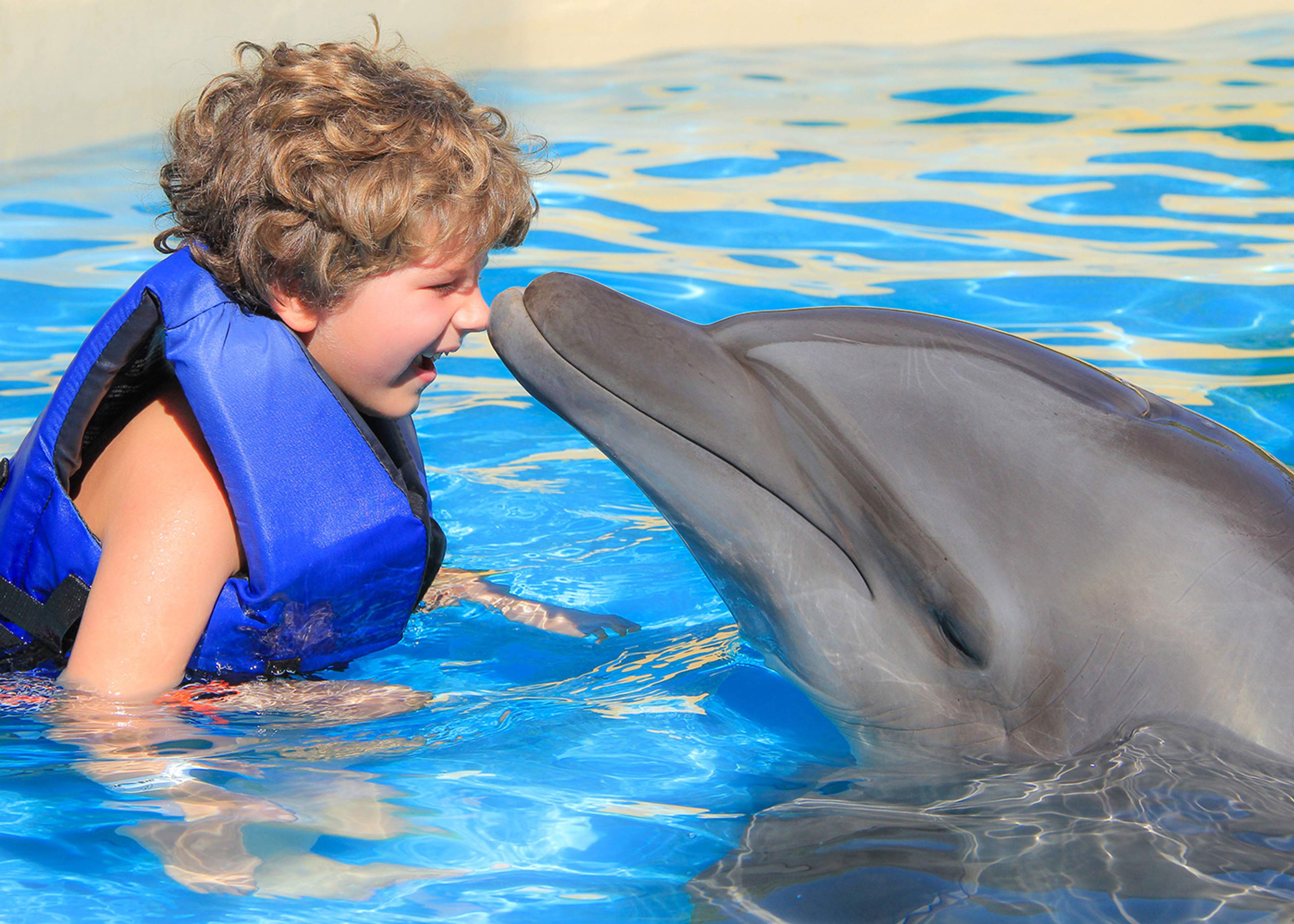 A child enjoying a dolphin swim experience at Vallarta Adventures, sharing a close moment with a dolphin in the pool.
