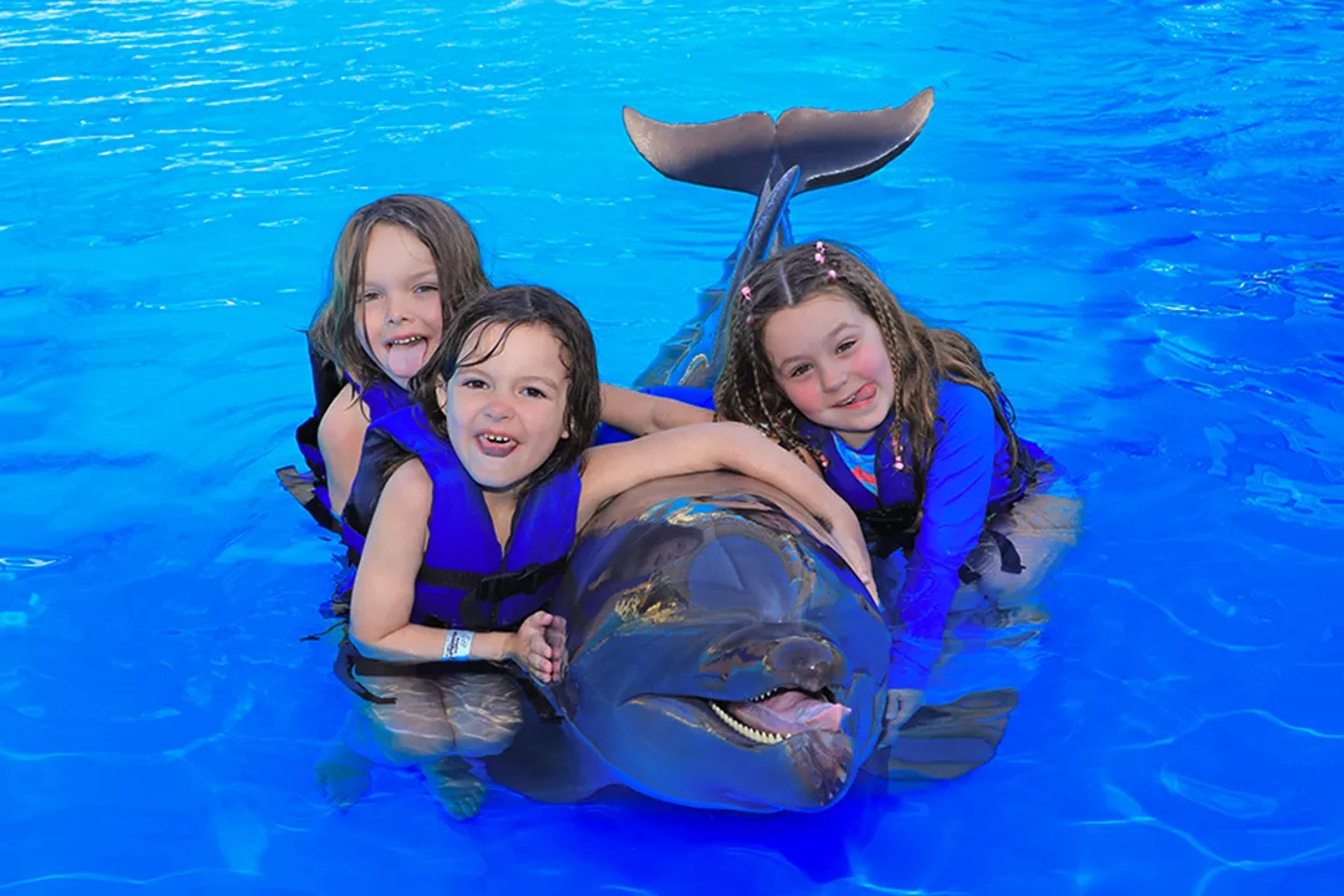 PUERTO VALLARTA TOURS: WHAT TRAVELERS LOVE ABOUT VALLARTA ADVENTURES TOURS