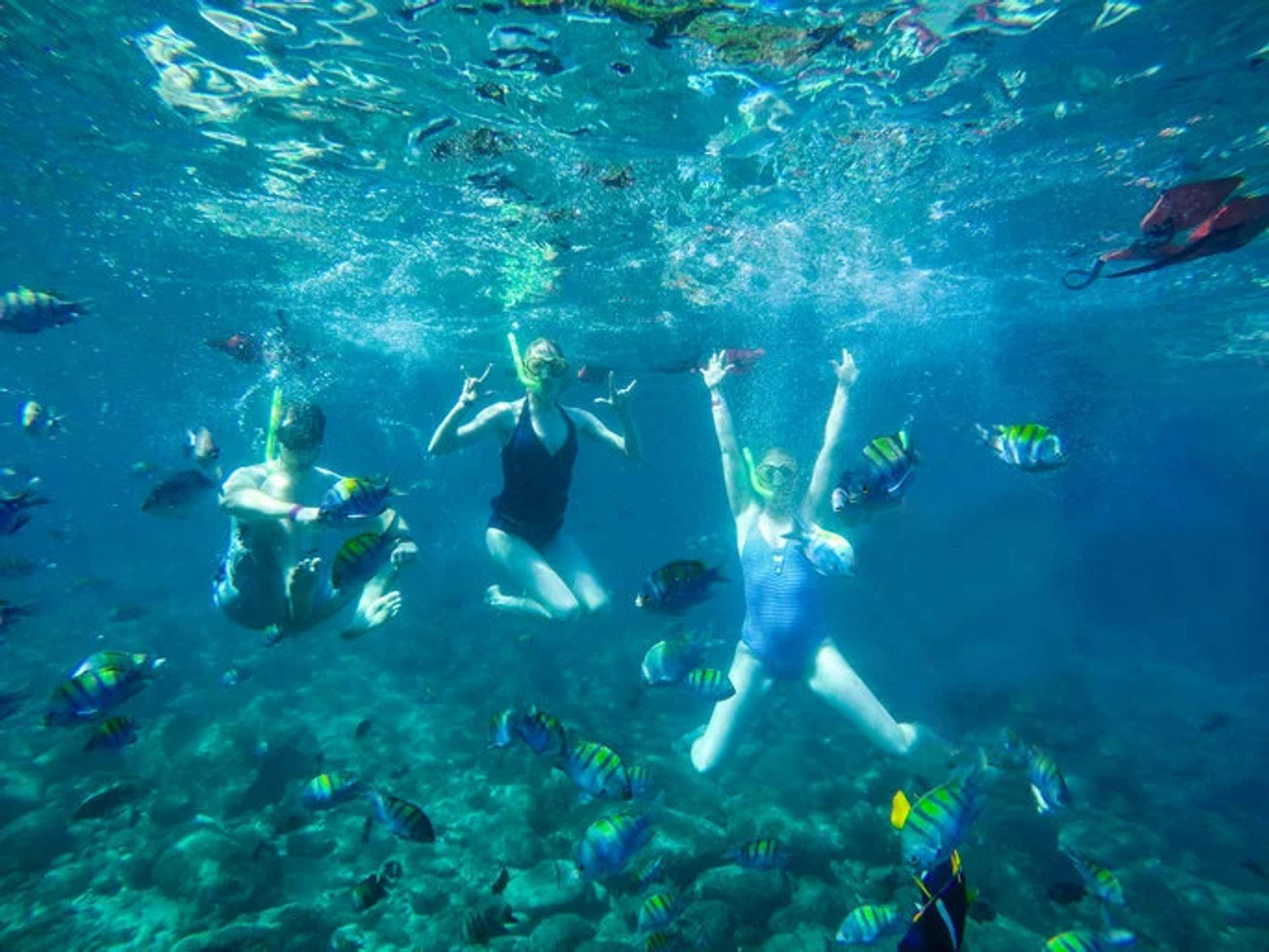 Three people snorkeling underwater surrounded by colorful fish at Las Caletas, Puerto Vallarta, Mexico.