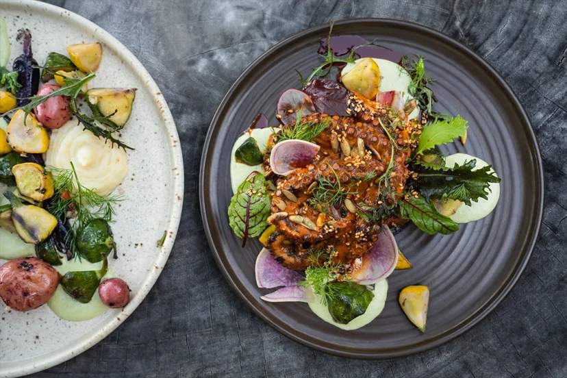 Colorful gourmet dishes with grilled octopus, vegetables, and artistic plating on rustic plates.