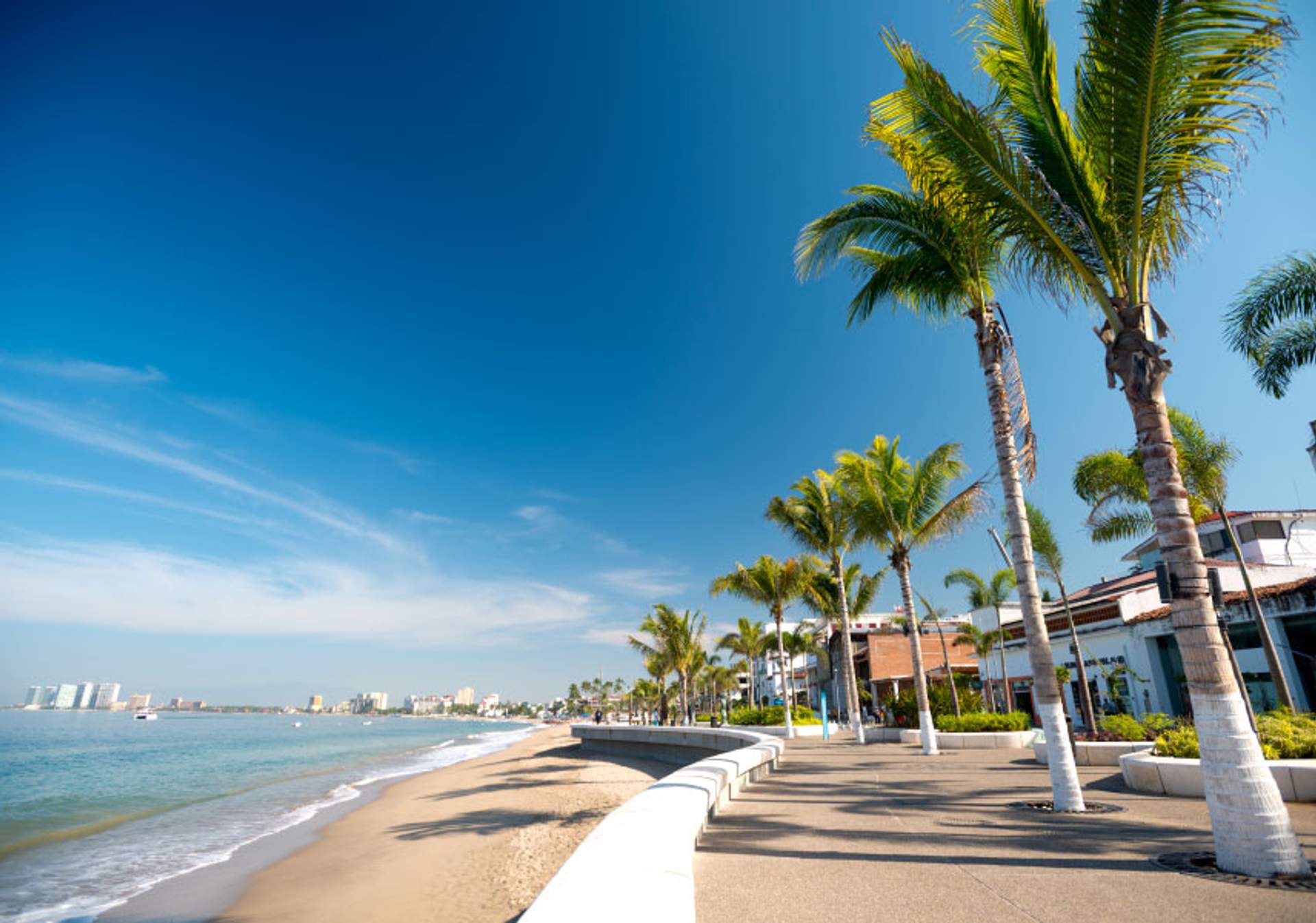 A sunny beachfront boardwalk lined with palm trees and modern buildings. The sandy shore meets the calm blue waters of the ocean, with a city skyline visible in the distance.