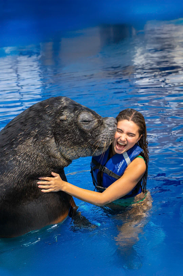 Mujer joven recibiendo un beso de un lobo marino en Puerto Vallarta.