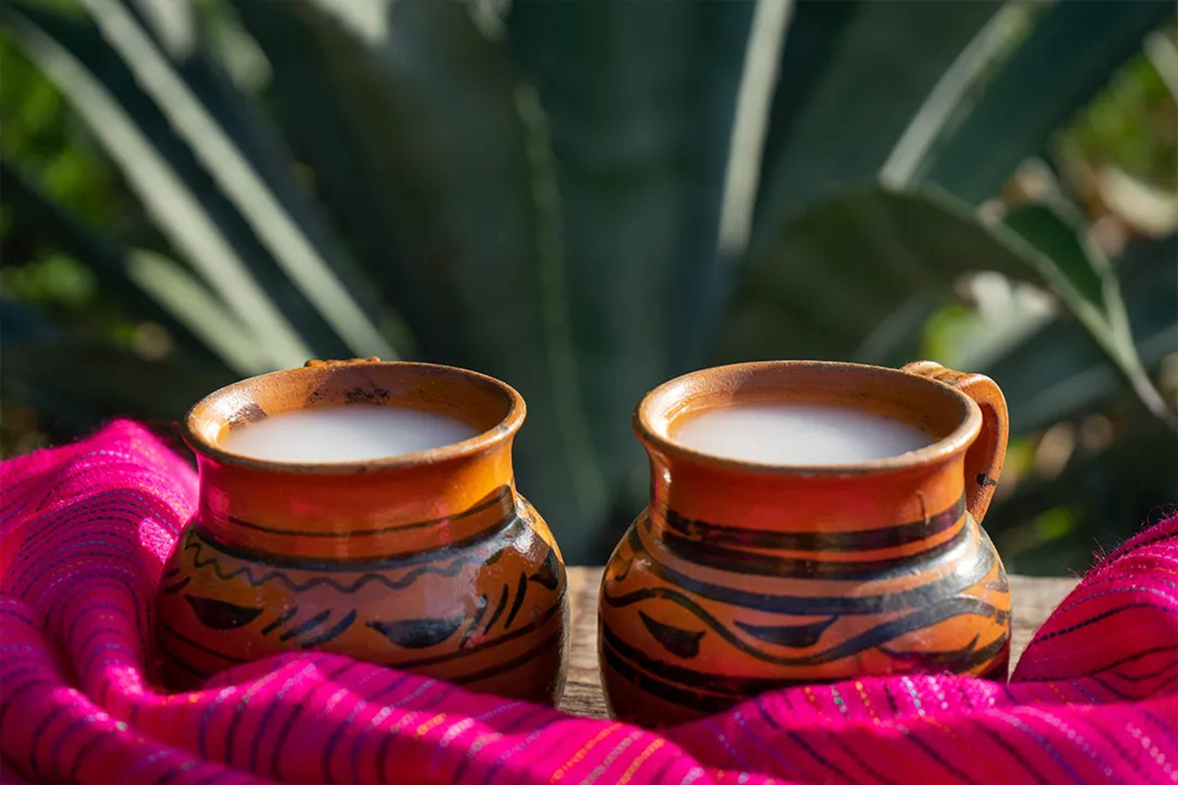 Jarros de barro con pulque, colocados sobre un mantel rosa con agave al fondo.