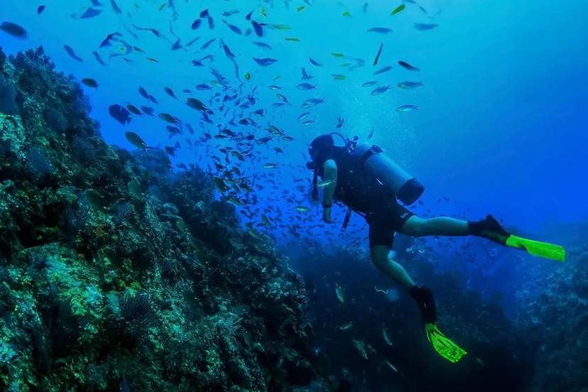 Scuba diving in Puerto Vallarta exploring vibrant reef wall with tropical fish and clear waters with Vallarta Adventures