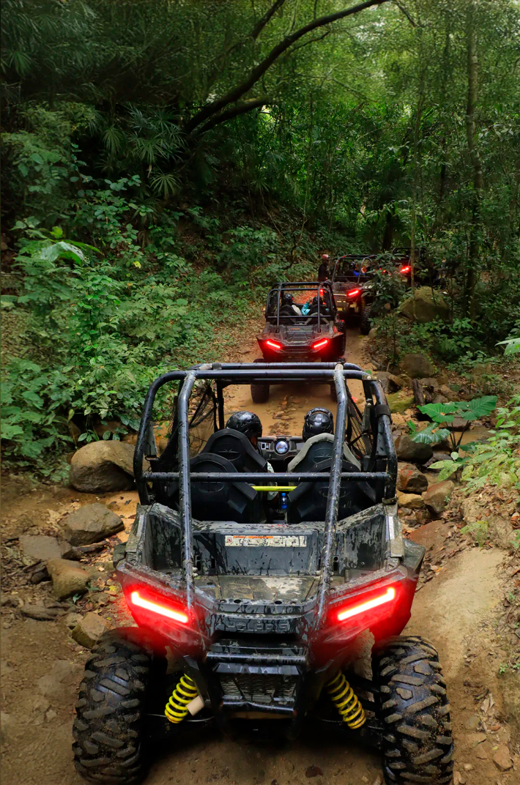 A line of ATVs drives through a dense forest trail during a Puerto Vallarta off-road tour.