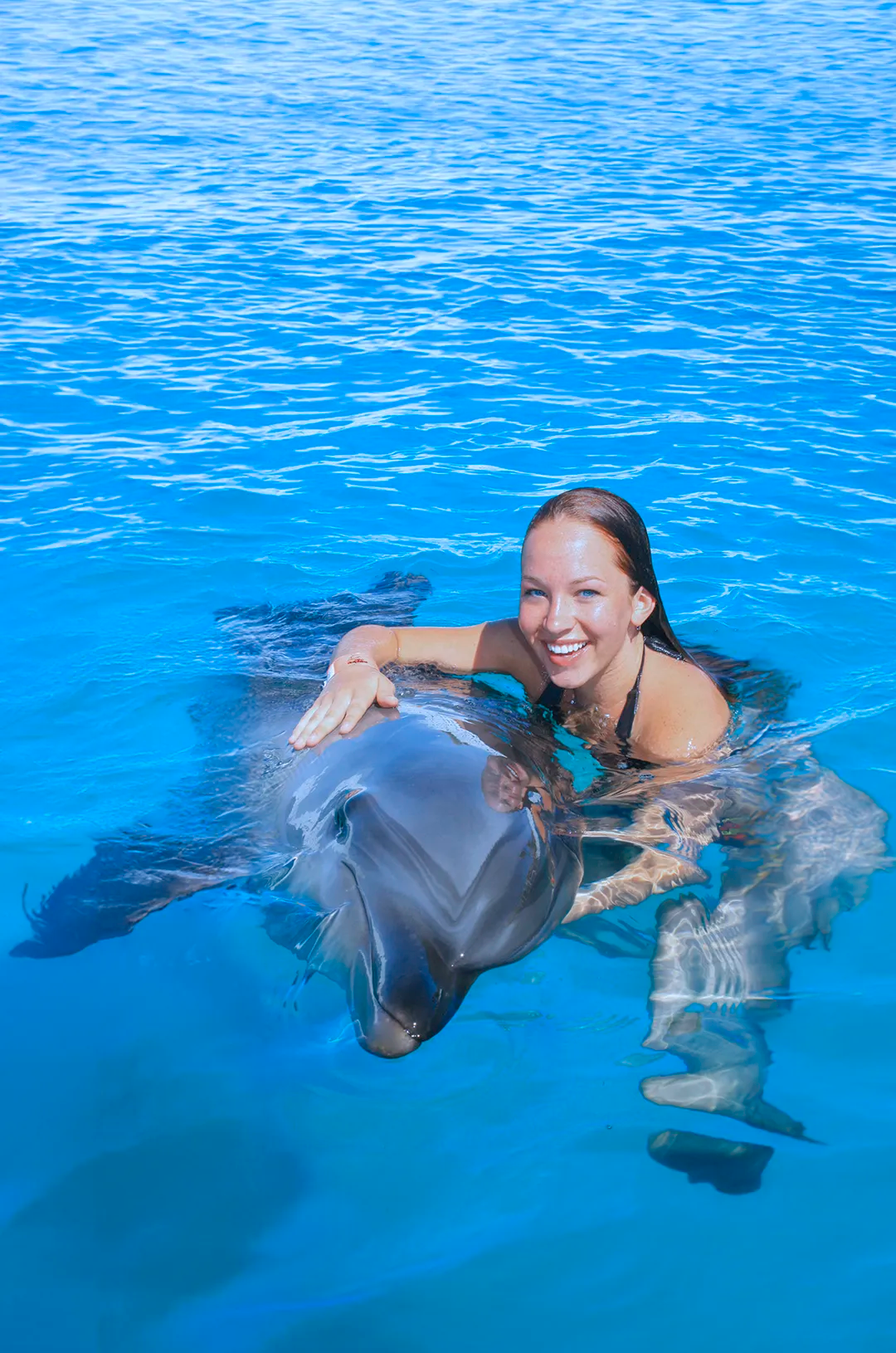 Girl hugging a dolphin during a Puerto Vallarta dolphin swim.