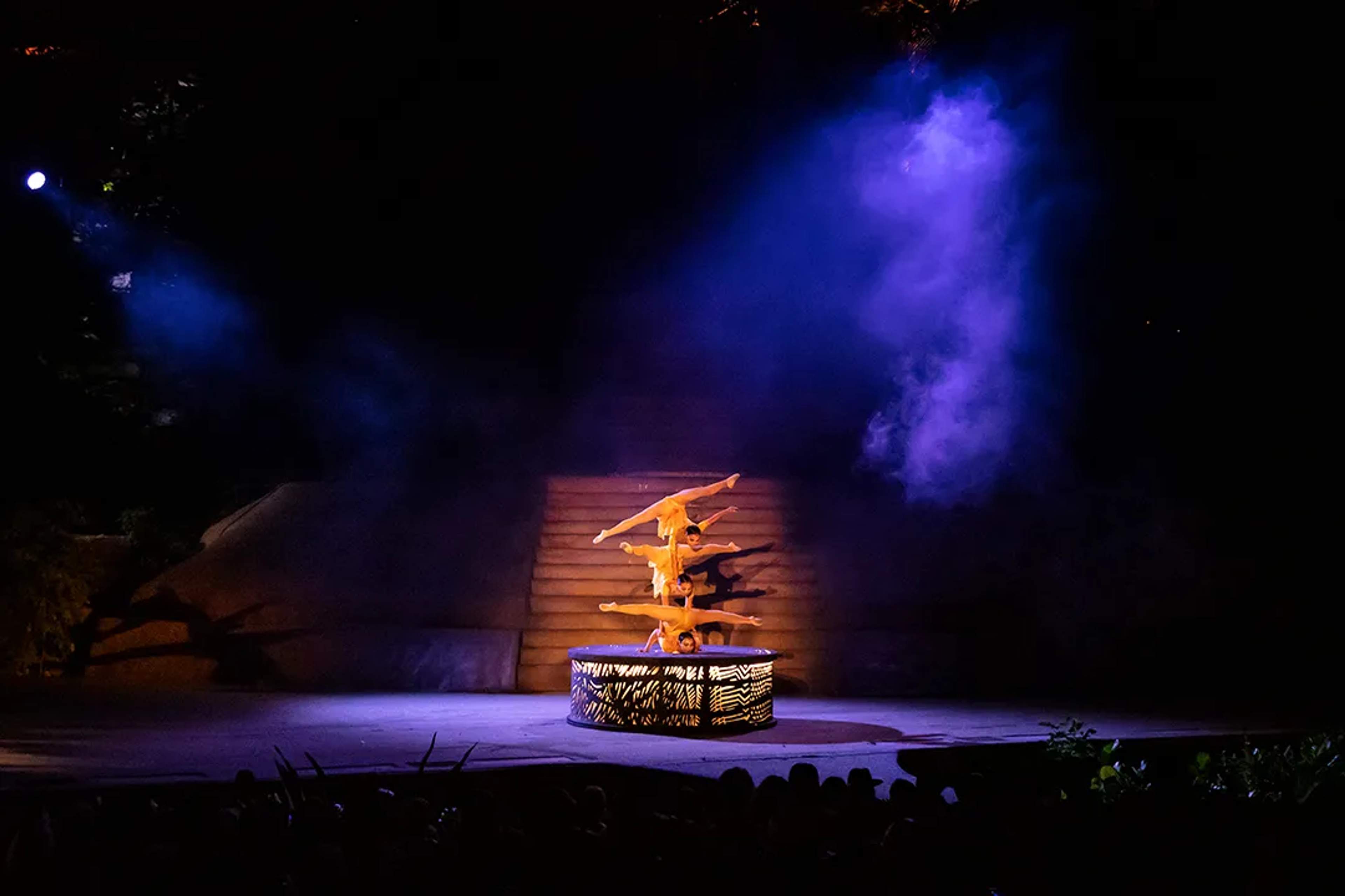 Rhythms of the Night spectacular stage production.