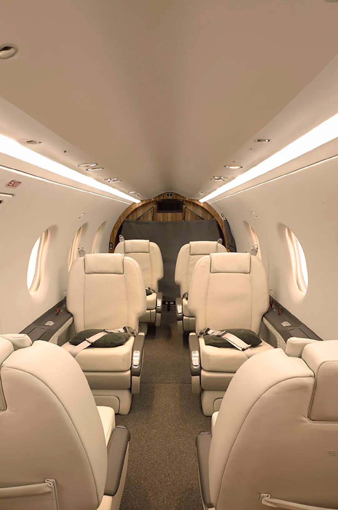 Take a comfortable private flight from Puerto Vallarta.