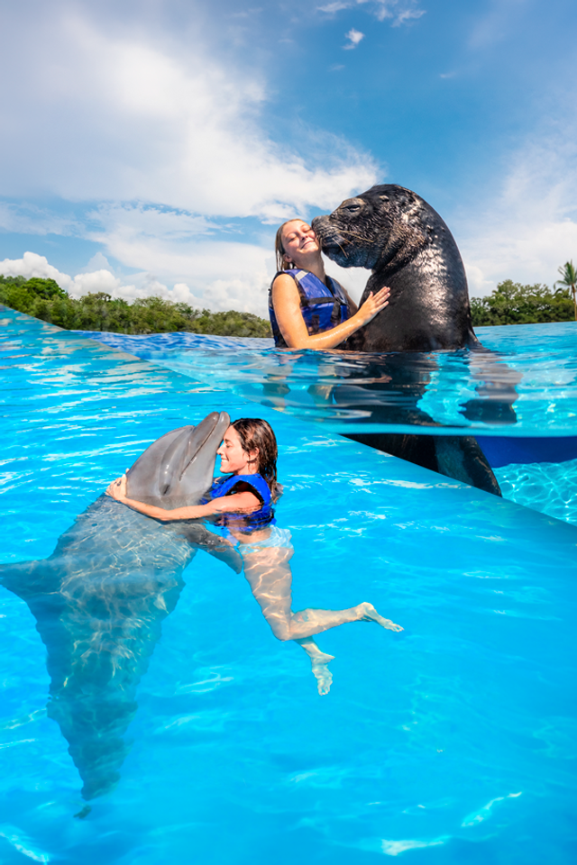 Woman swimming underwater with a dolphin in Puerto Vallarta at Vallarta Adventures' Marine Mammal Center.