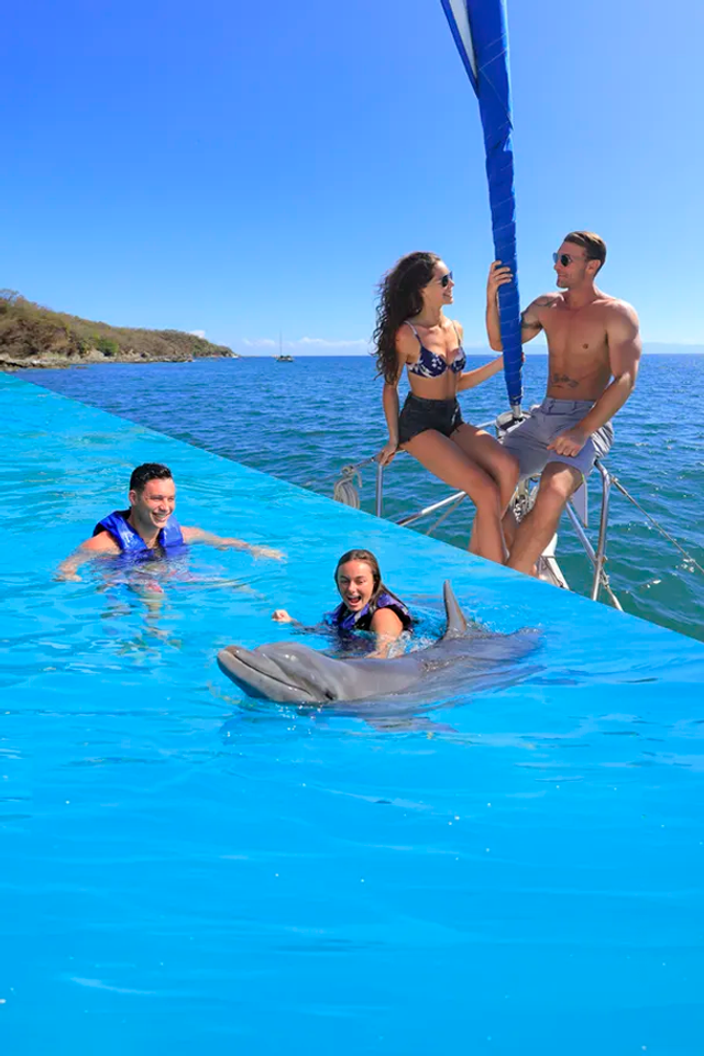 Puerto Vallarta Adults-only Tour combo including a Day Sailing and a Dolphin Swim.