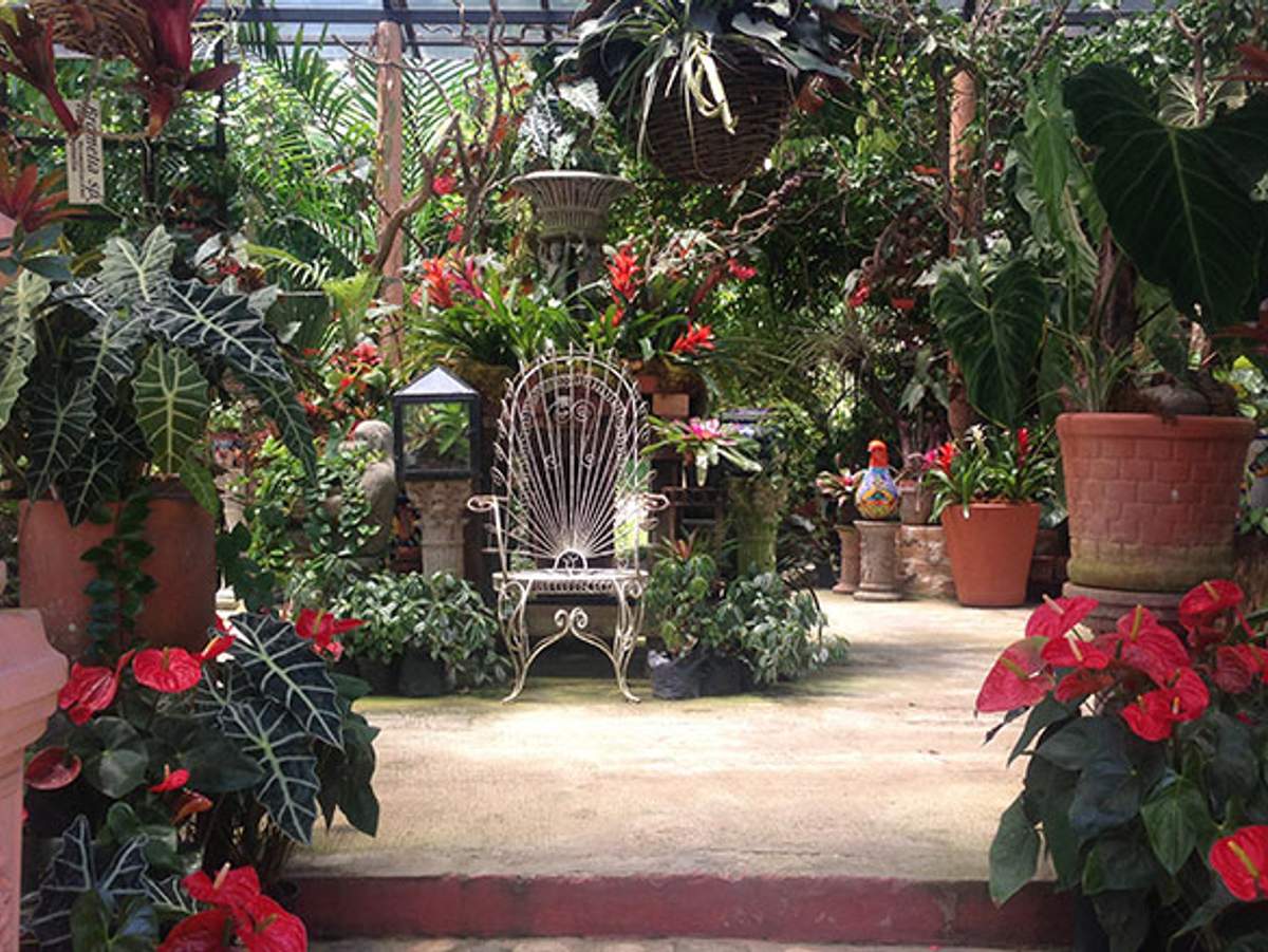 Una silla de hierro forjado blanco rodeada de plantas verdes exuberantes y flores vibrantes en un jardín botánico en Puerto Vallarta.