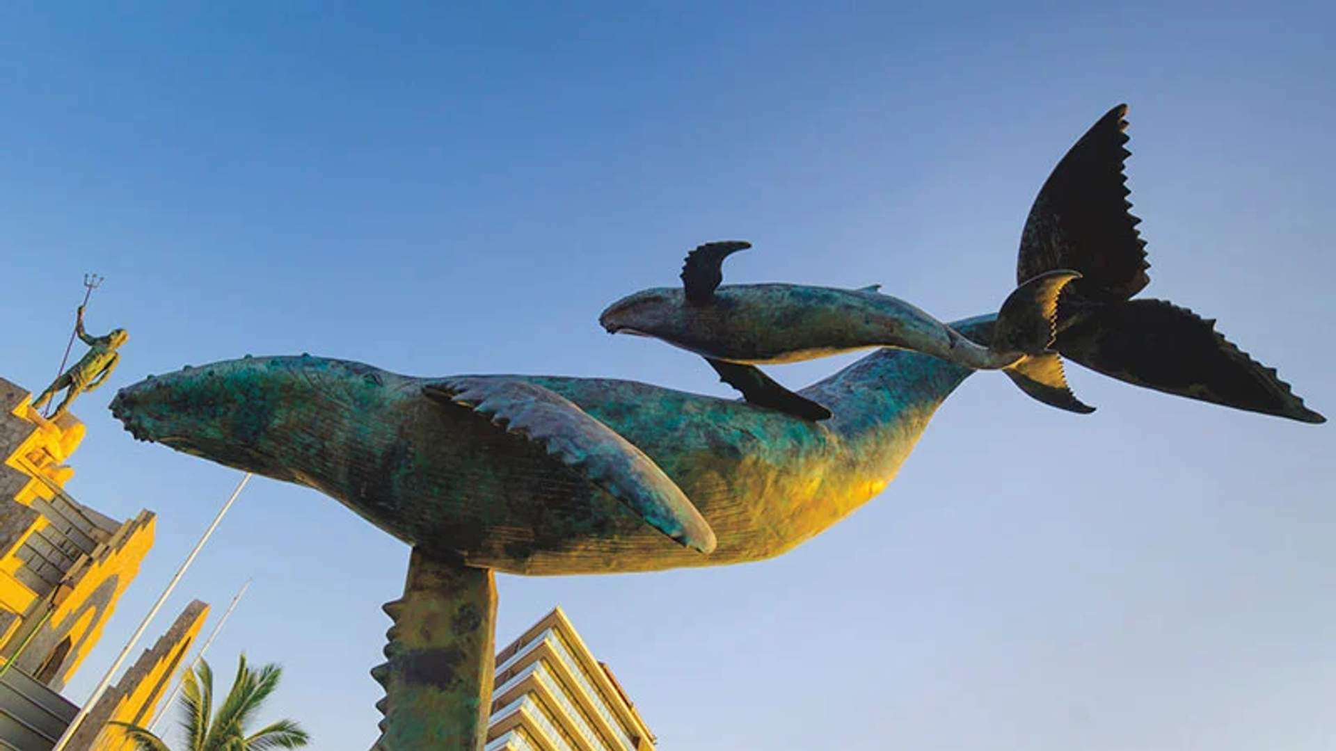 Sculpture of a whale and her calf in Vallarta, elevated on a base, with a building and a Triton statue in the background.