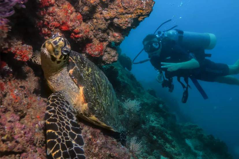 ¿POR QUÉ ES TAN IMPORTANTE EL TURISMO SOSTENIBLE?