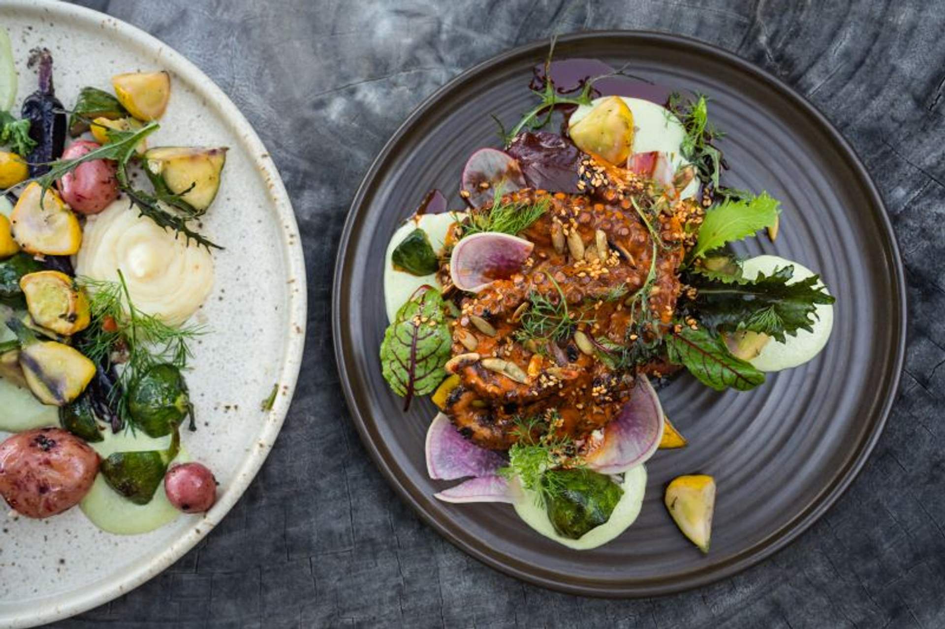 Top-down view of two beautifully plated gourmet dishes. The dish on the right features grilled octopus with a variety of fresh greens and colorful vegetables, garnished with seeds and herbs. The dish on the left includes roasted potatoes and vegetables with a creamy sauce.