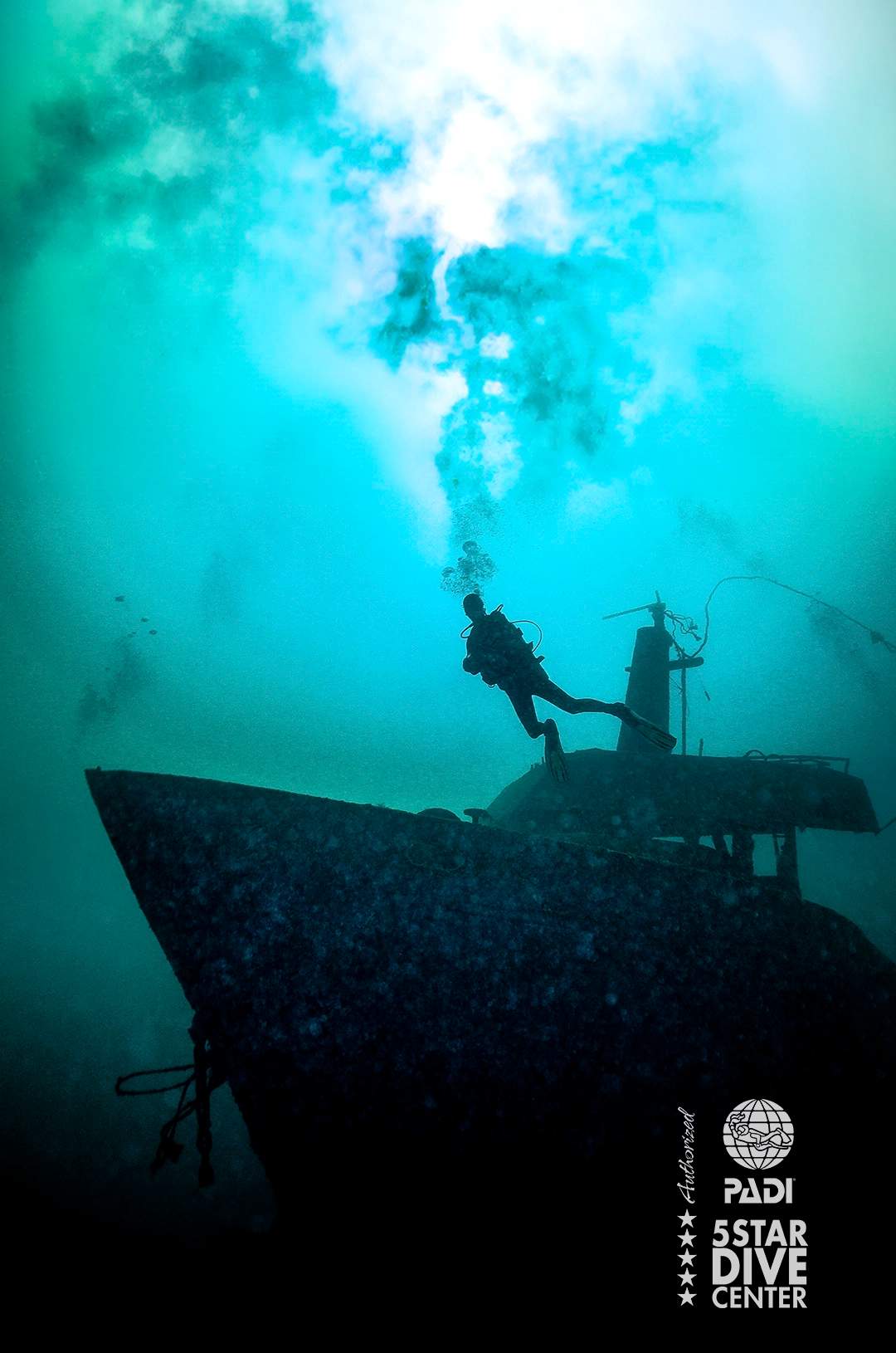Puerto Vallarta wreck diving at Princess shipwreck.