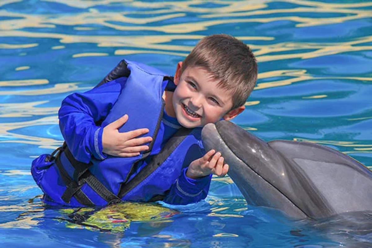 Un niño sonriente con chaleco salvavidas azul interactúa con un delfín en una piscina, mostrando un momento alegre.
