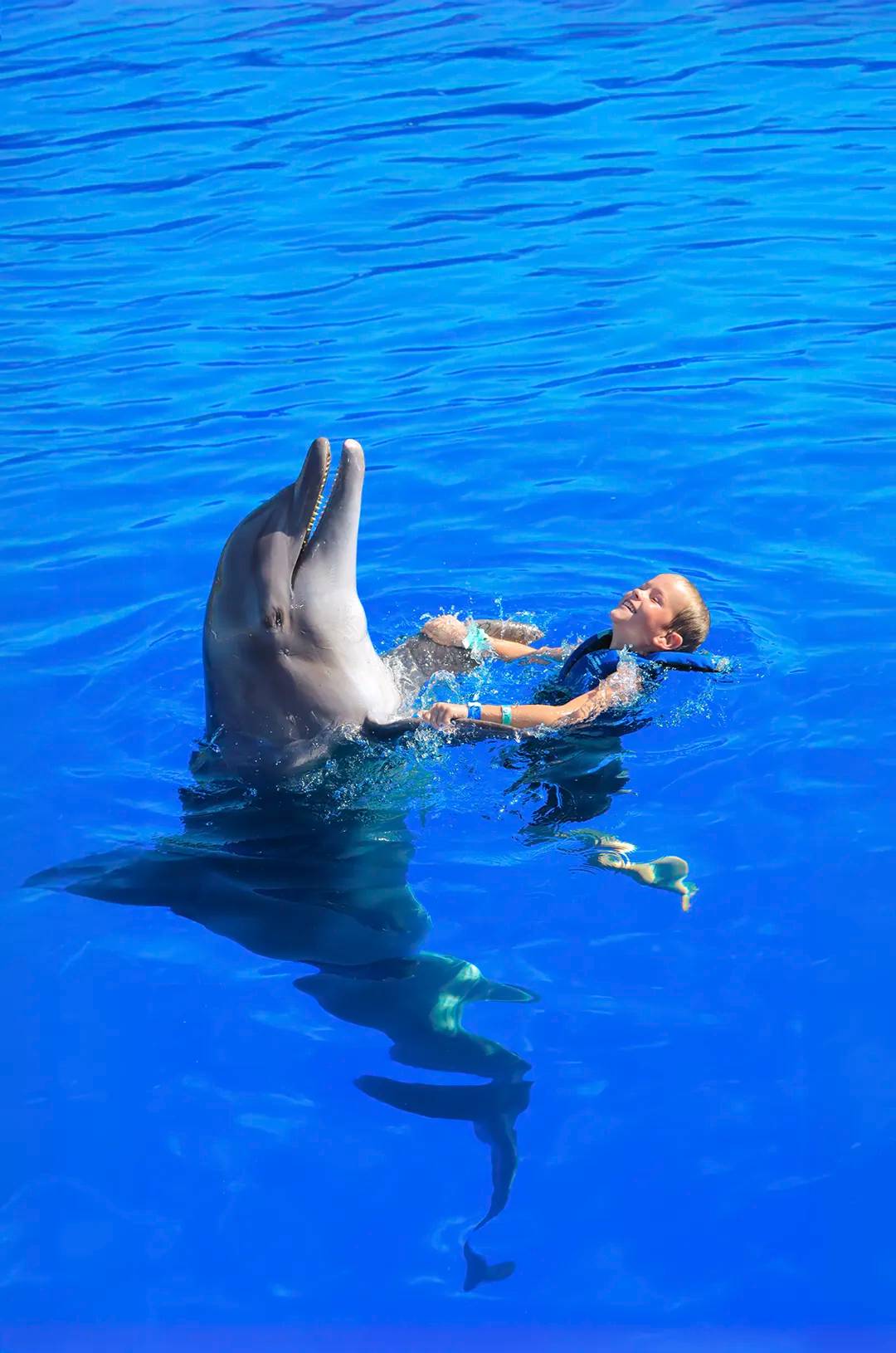 Kid playing with a dolphin in Puerto Vallarta during Dolphin Adventure.