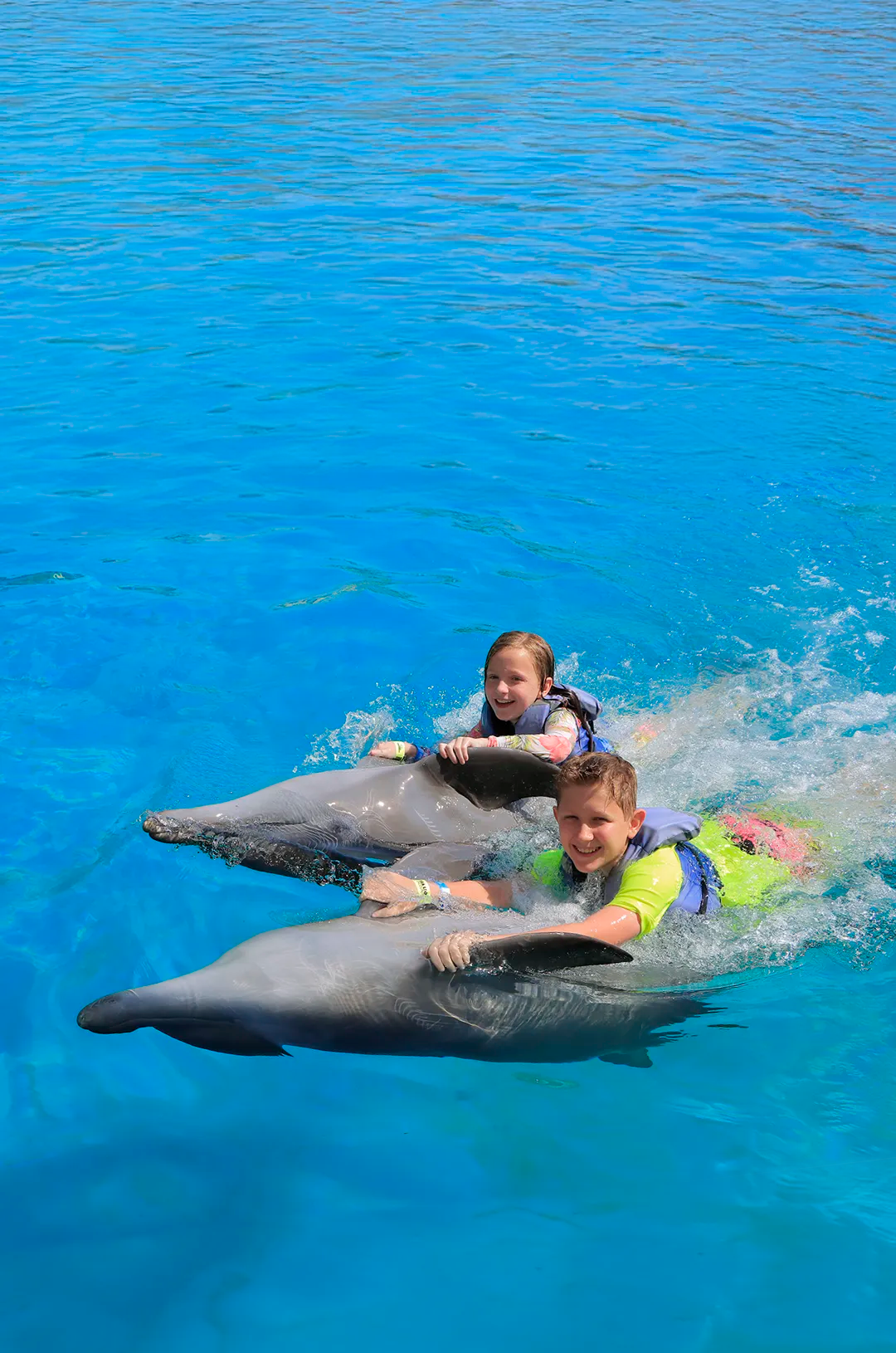 Children enjoying a fun Puerto Vallarta dolphin ride.