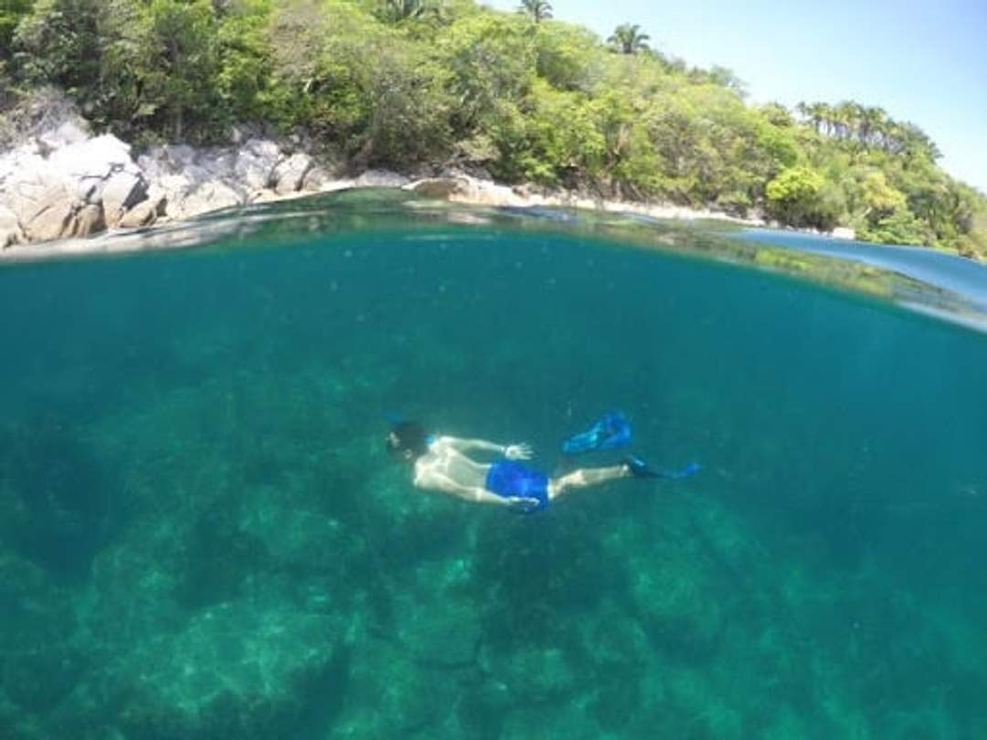 Snorkeler swimming in clear turquoise waters near the rocky shore of Majahuitas, surrounded by lush greenery, in Puerto Vallarta, Mexico.