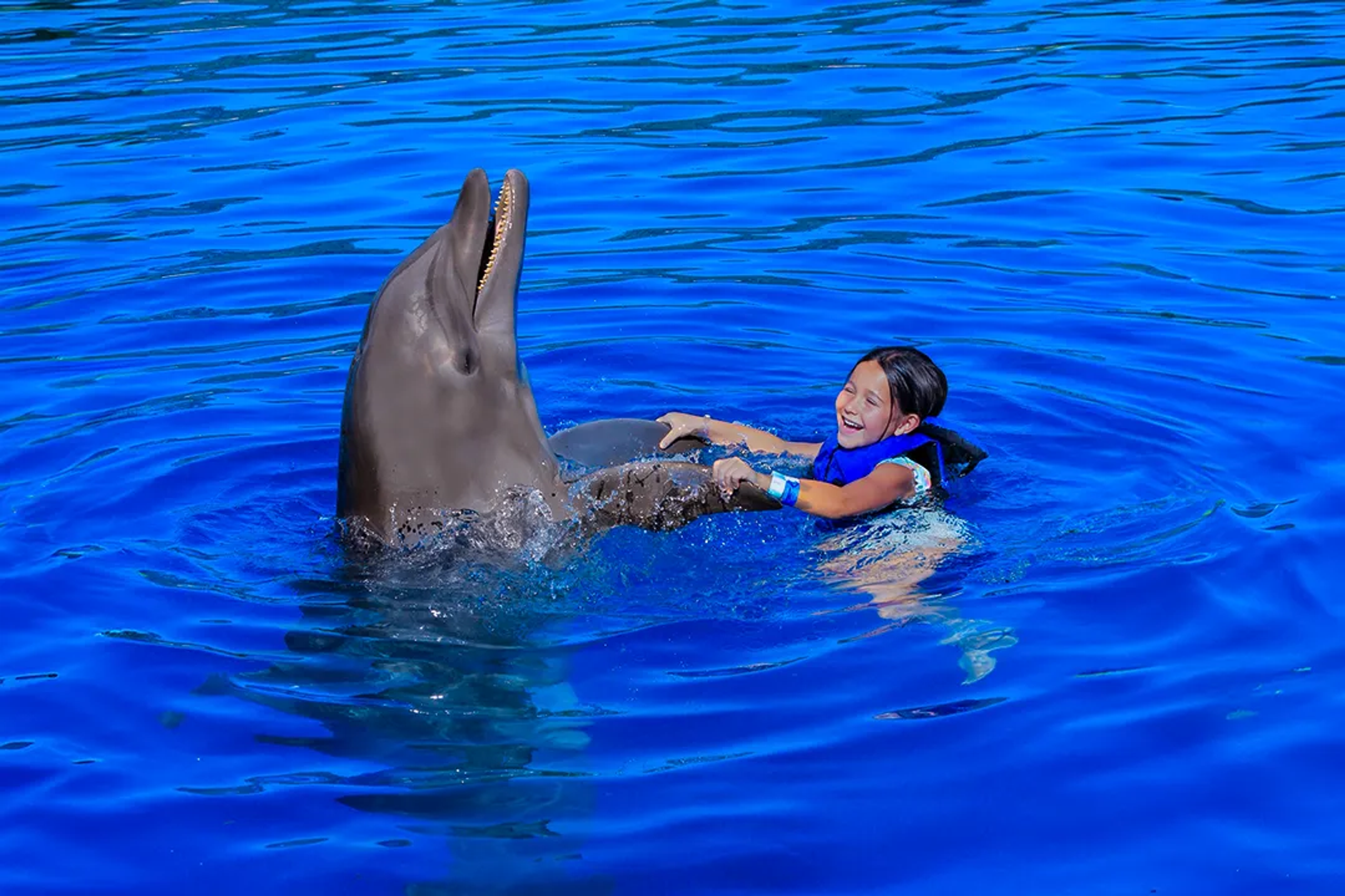 DOLPHIN FACTS FOR KIDS