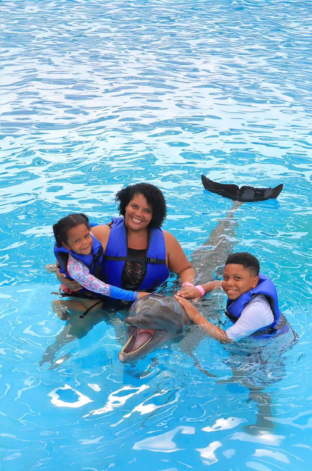 Una familia disfrutando un Encuentro con Delfines en Puerto Vallarta.